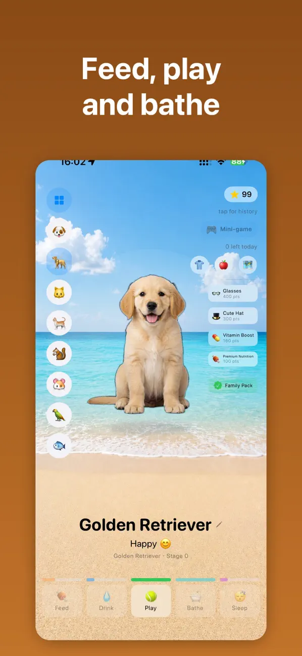 Golden Retriever at the beach with care controls